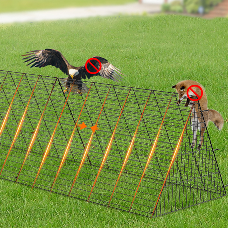 庭用の屋外での大きなアヒルの鶏小屋のケージ 庭用の屋外での大きなアヒルの鶏小屋のケージ