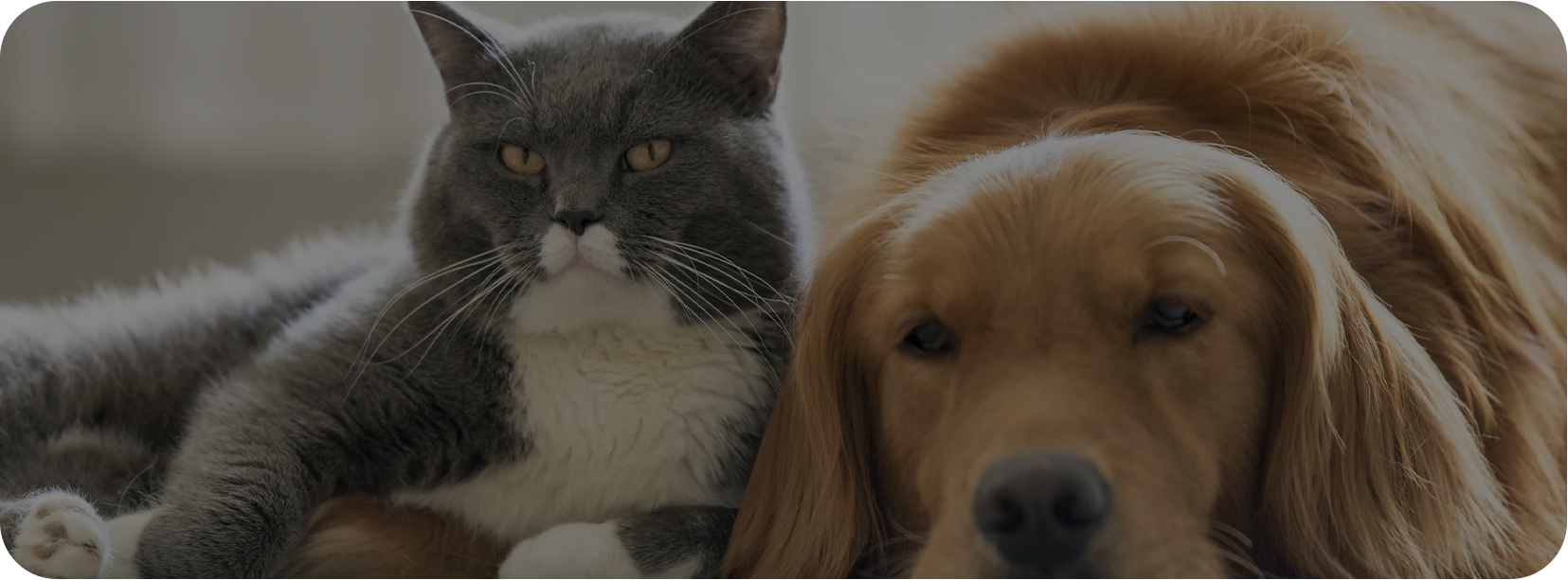 Pet Home（Haian）Co.、Ltd